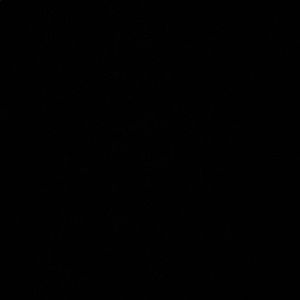 Meet your Posher, Lilly